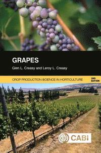 bokomslag Grapes