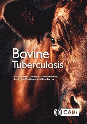 bokomslag Bovine Tuberculosis