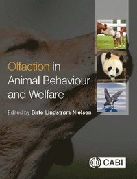 bokomslag Olfaction in Animal Behaviour and Welfare