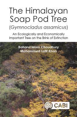 bokomslag Himalayan Soap Pod Tree (Gymnocladus assamicus), The