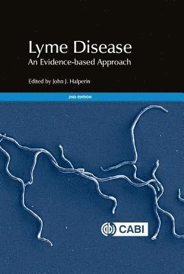 bokomslag Lyme Disease