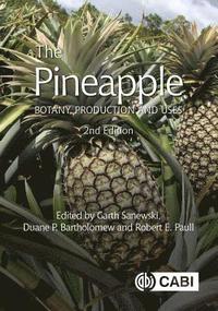 bokomslag Pineapple, The