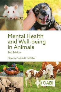 bokomslag Mental Health and Well-being in Animals