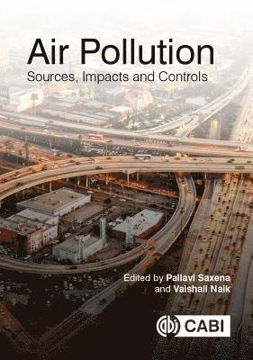 Pallavi Saxena, Vaishali Naik, India) Saxena, Pallavi (Assistant Professor, University of Delhi, USA) Naik, Professor Vaishali (NOAA GFDL - Air Pollution, Häftad
