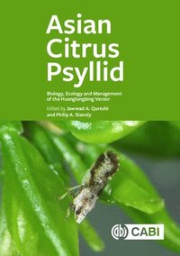 bokomslag Asian Citrus Psyllid