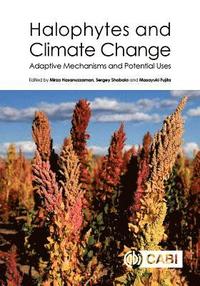 bokomslag Halophytes and Climate Change