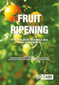 bokomslag Fruit Ripening