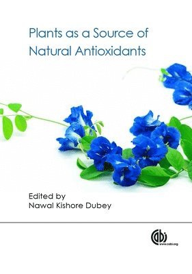 Nawal Kishore Dubey, India) Dubey, Nawal Kishore (Banaras Hindu University - Plants as a Source of Natural Antioxidants, Häftad