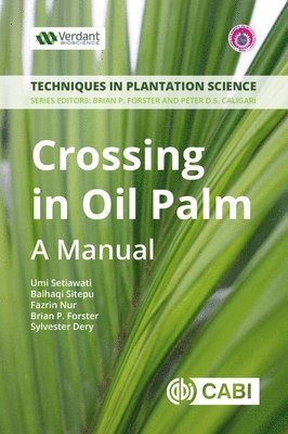 Umi Setiawati, Baihaqi Sitepu, Fazrin Nur, Sylvester Dery, Brian Forster - Crossing in Oil Palm, Häftad
