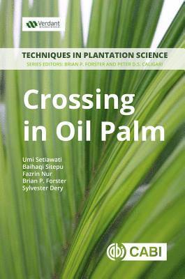 bokomslag Crossing in Oil Palm