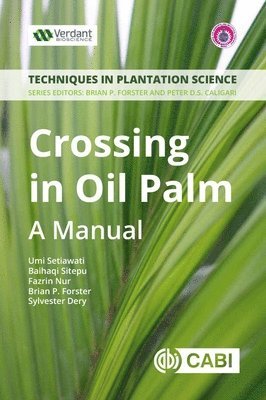 Crossing in Oil Palm 1