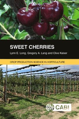 bokomslag Sweet Cherries