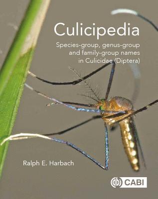 Culicipedia 1