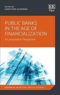 bokomslag Public Banks in the Age of Financialization