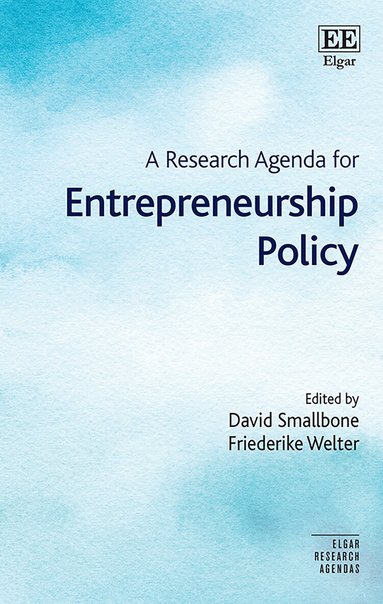 David Smallbone, Friederike Welter - Research Agenda for Entrepreneurship Policy, Inbunden