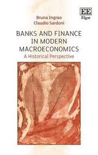 bokomslag Banks and Finance in Modern Macroeconomics