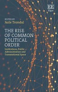 bokomslag Rise of Common Political Order