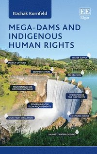 bokomslag Mega-Dams and Indigenous Human Rights