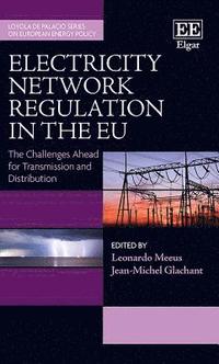 bokomslag Electricity Network Regulation in the EU