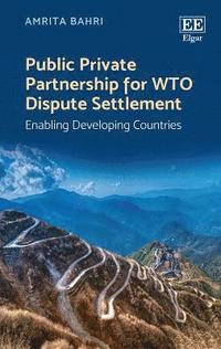 bokomslag Public Private Partnership for WTO Dispute Settlement