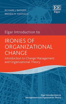 bokomslag Ironies of Organizational Change