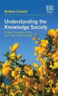 bokomslag Understanding the Knowledge Society