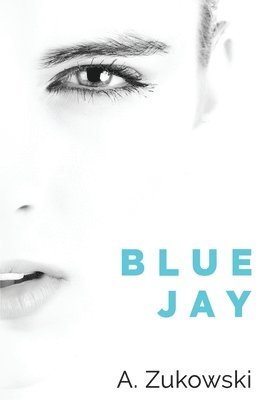 Blue Jay 1