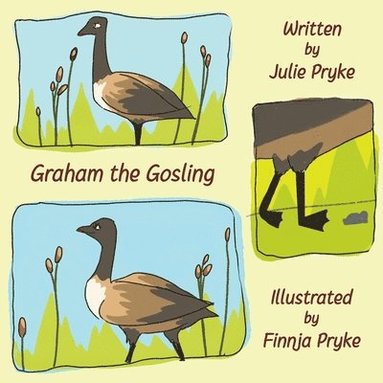 Julie Pryke - Graham the Gosling, Häftad