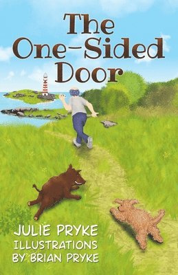 Julie Pryke - One-Sided Door, Häftad