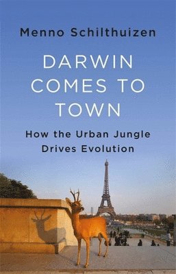 Darwin Comes to Town 1