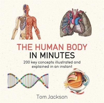 Tom Jackson - Human Body in Minutes, Häftad