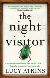 bokomslag Night visitor - the stunning new thriller from the bestselling author