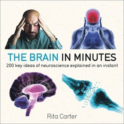 The Brain in Minutes 1