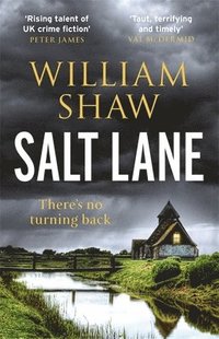 bokomslag Salt Lane