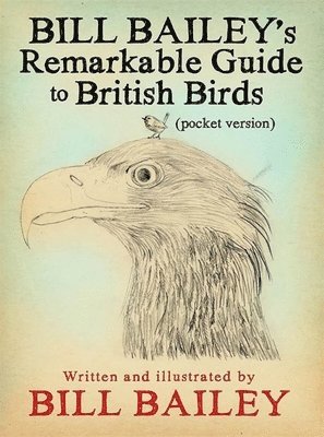 bokomslag Bill Bailey's Remarkable Guide to British Birds