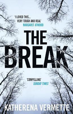 bokomslag The Break