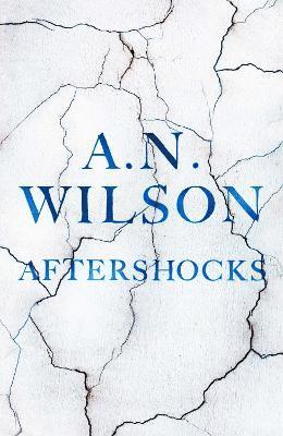 bokomslag Aftershocks
