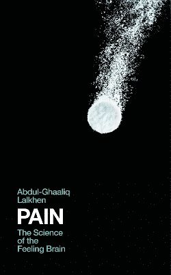 Dr Abdul-Ghaaliq Lalkhen, Abdul-Ghaaliq Lalkhen - Pain, Inbunden