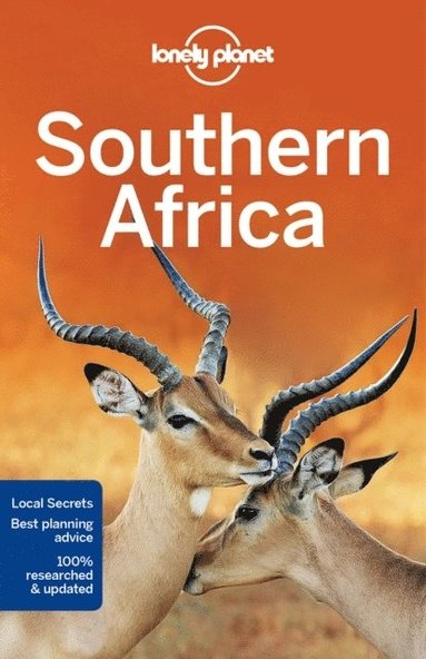 bokomslag Lonely Planet Southern Africa