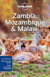 bokomslag Lonely Planet Zambia, Mozambique & Malawi