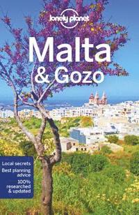 bokomslag Malta & Gozo 
