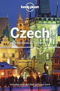 bokomslag Lonely Planet Czech Phrasebook & Dictionary