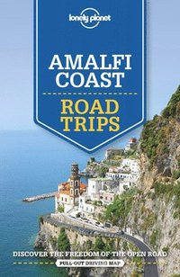 bokomslag Amalfi Coast Road Trips