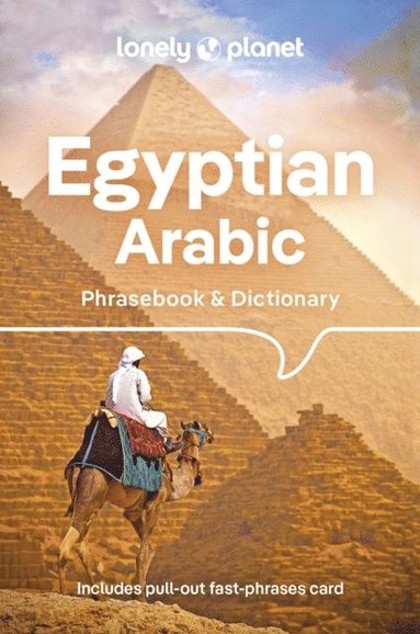 bokomslag Lonely Planet Egyptian Arabic Phrasebook & Dictionary