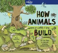 bokomslag Lonely Planet Kids How Animals Build