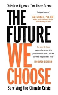 bokomslag The Future We Choose: How to End the Climate Crisis
