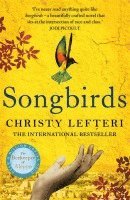 Songbirds 1