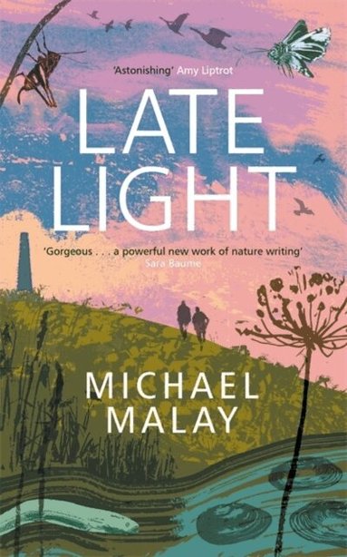 Michael Malay - Late Light, Inbunden