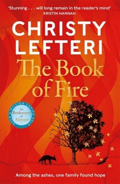 bokomslag Book of Fire
