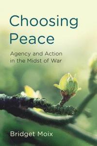bokomslag Choosing Peace